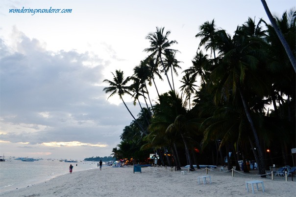 Coconut Trees beside Alona Beach in Bohol