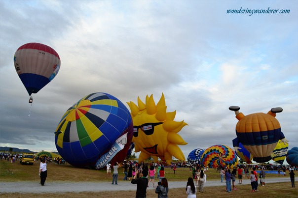 Hot Air Ballon Festival's Balloons 2
