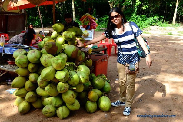 Coconuts at Ta Keo Temple