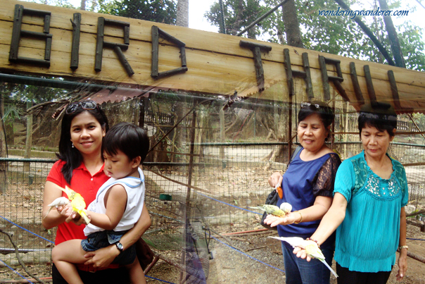 Bird Thrill - Zoobic Safari - Subic Bay Freeport Zone