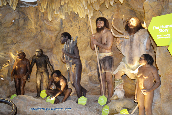 The Human Evolution - The Mind Museum - Taguig City