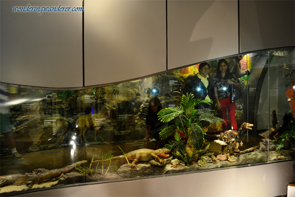 Evolution of Reptiles - The Mind Museum - Taguig City